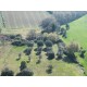 Properties for Sale_FARMHOUSE FOR SALE IN LAPEDONA IN THE MARCHE REGION,this beautiful farmhouse is to be restored in Le Marche_14
